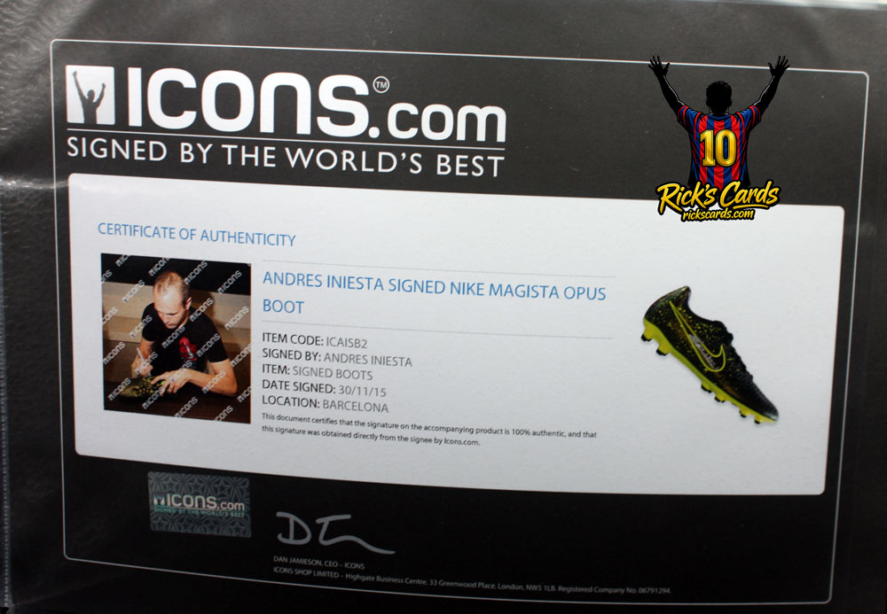 iniestashoe.jpg
